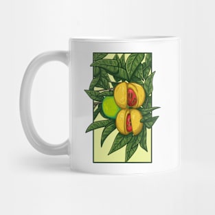 Vintage doodle illustration of Nutmeg Mug